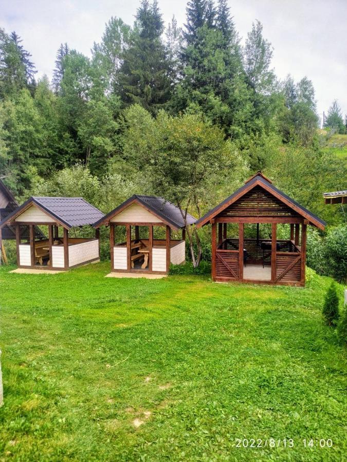 Відпочинковий Комплекс "Alpha Plus" Yablunytsya Exterior photo