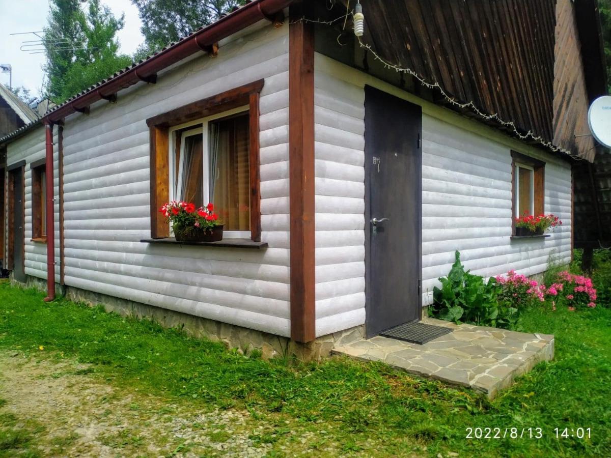 Відпочинковий Комплекс "Alpha Plus" Yablunytsya Exterior photo