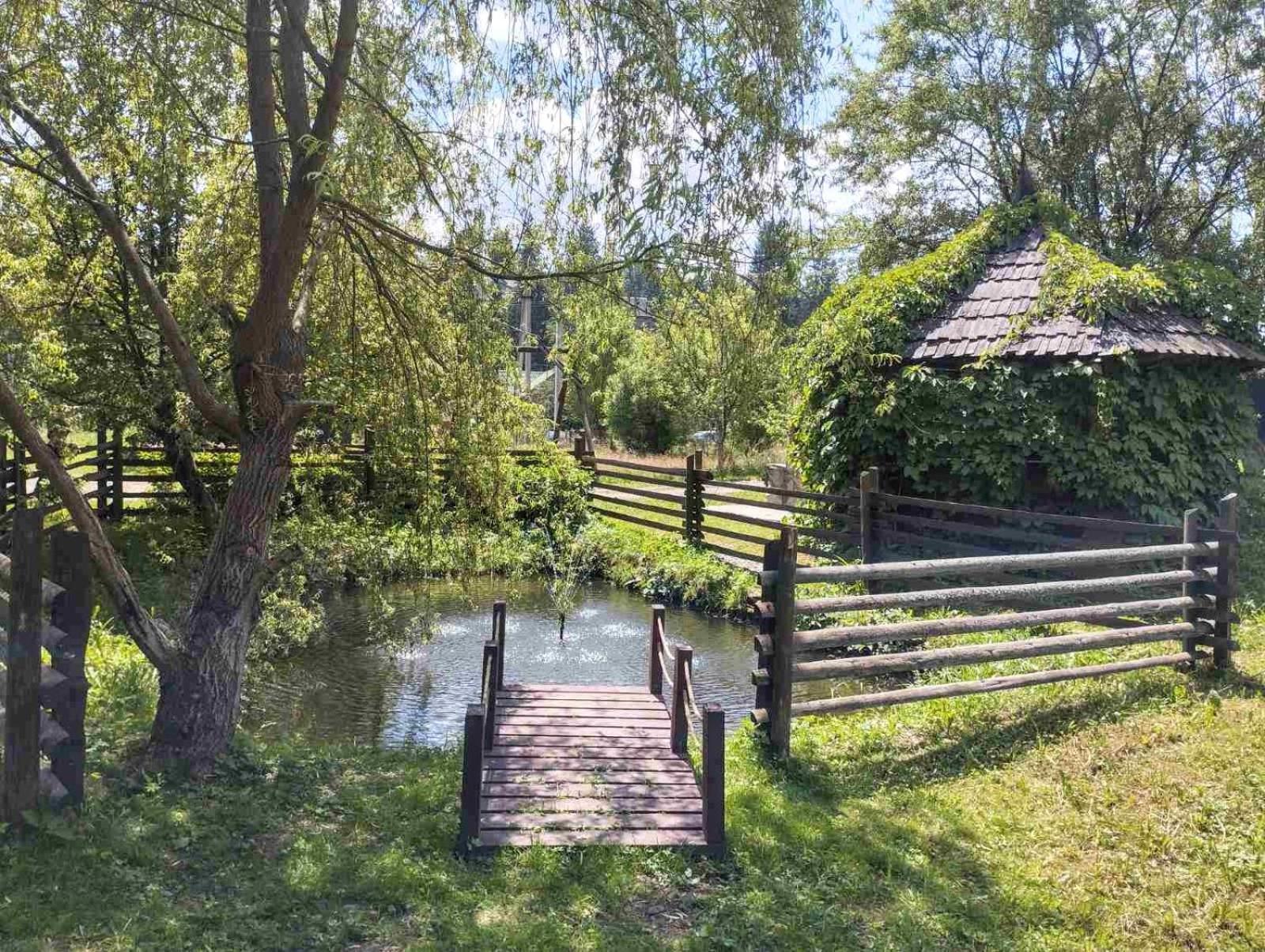Відпочинковий Комплекс "Alpha Plus" Yablunytsya Exterior photo